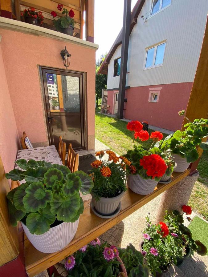 شقة Apartman Kaljevic جابلياك المظهر الخارجي الصورة